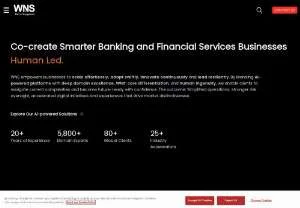 Screenshot of WNS Banking and Financial Services Solutions