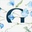 Site icon