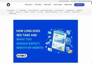 Screenshot of What to Expect from SEO Timelines