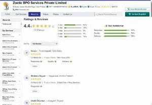 Screenshot of Zoetic BPO Services