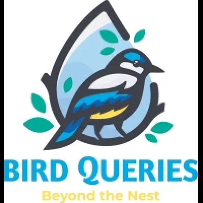 birdqueries