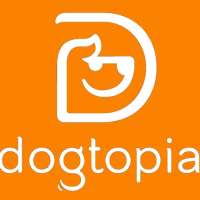 Dogtopia of Bloomfield - Dogtopia of Bloomfield is the ultimate destination for dog daycare, boarding, and spa services in Bloomfield Hills.