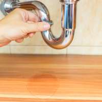 Tom - Camilo Technician A/C, Plumbing and Boiler
Union City, NJ, 07087
(551) 324-9363
Plumbing Services,Plumbing Contractor,Local Plumber,Commercial Plumber,Commercial Plumbing,Residential Plumbing,Plumbing Leak Repair,Plumbing Maintenance,Plumbing Inspection