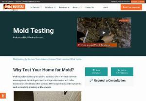 Mold Testing in Ottawa & Montreal | Results in 24 Hours! - Mold Busters provides professional mold testing services across Ontario & Quebec. Fully Certified. 15+ Years Experience. Same-Day Service: 1-877-566-6653
