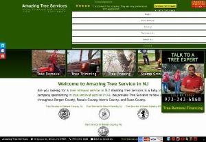 Amazing Tree Service  - Amazing Tree Services is a full service tree company in NJ providing fully guaranteed and insured tree services throughout NJ. We specialize in areas including Passaic County, Morris County, and Essex County, NJ. At Amazing Tree Services, we are dedicated to providing our customers with quality tree