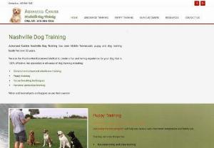 Dog Training Nashville TN - Trained your dog from the best the dog training schools of Nashville, Hendersonville, Franklin, Clarksville, Murfreesboro, Gallatin, Goodlettsville, Brentwood, Greenhills, Belle Meade, TN. 