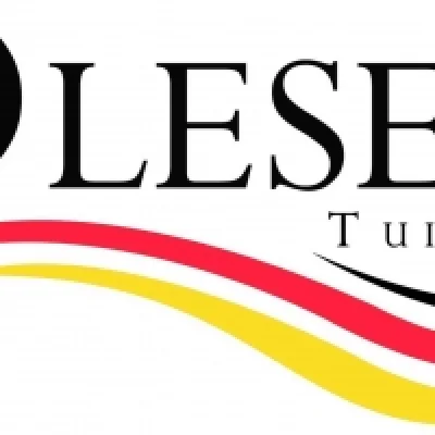 olesentuition