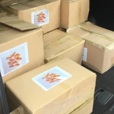 pagevalogistics