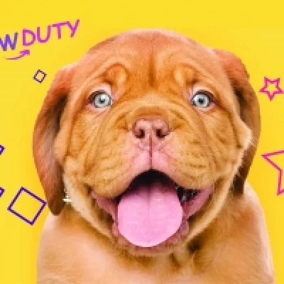 pawduty