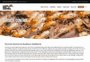 Termite Control & Inspections | Lloyd Pest Control - Looking for a termite control company in Southern California? Whether you have Drywood or Subterranean termites, Lloyd Pest Control can help.